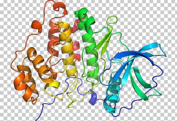 Ribosomal Protein S6 Ribosomal S6 Kinase Eukaryotic Small Ribosomal Subunit Protein Structure PNG, Clipart, 4 U, Animal Figure, Area, Artwork, Ck 2 Free PNG Download