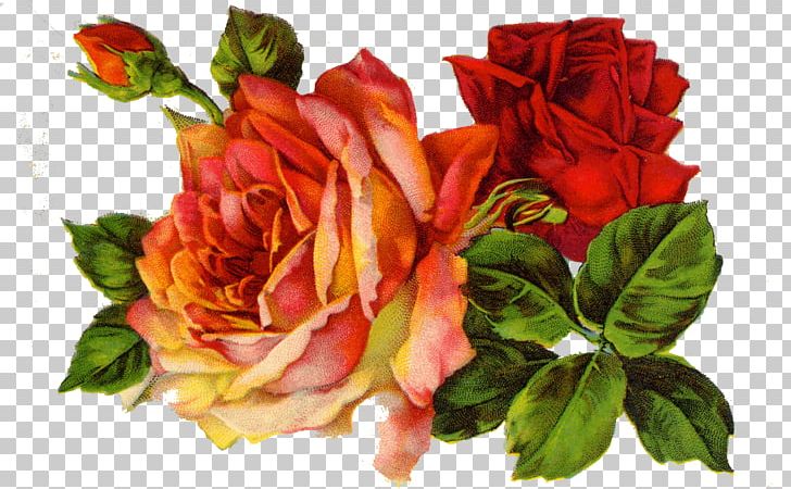 Rose Vintage Clothing Scrapbooking PNG, Clipart, Cut Flowers, Decoupage, Floral Design, Floribunda, Floristry Free PNG Download