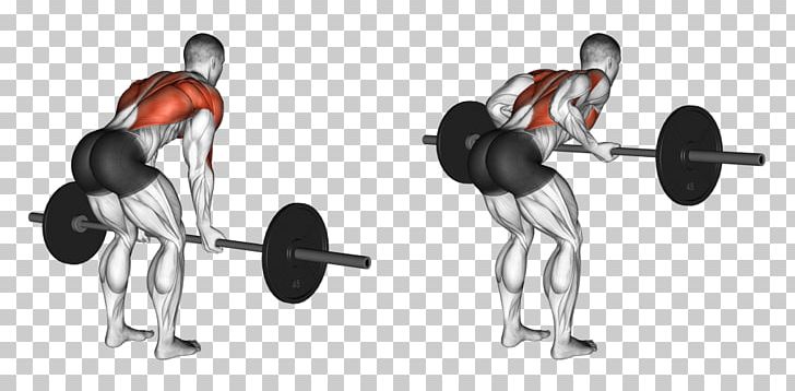 Bent-over Row Barbell Exercise Weight Training PNG, Clipart, Angle, Arm, Barbell, Bentover Row, Calf Raises Free PNG Download