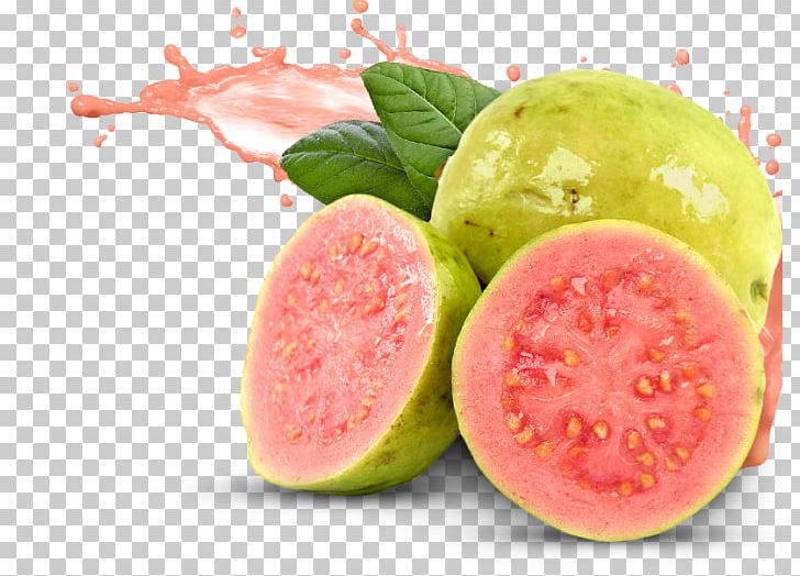Common Guava Juice Tropical Fruit PNG, Clipart, Citrullus, Common Guava, Diet Food, Drink, Eating Free PNG Download