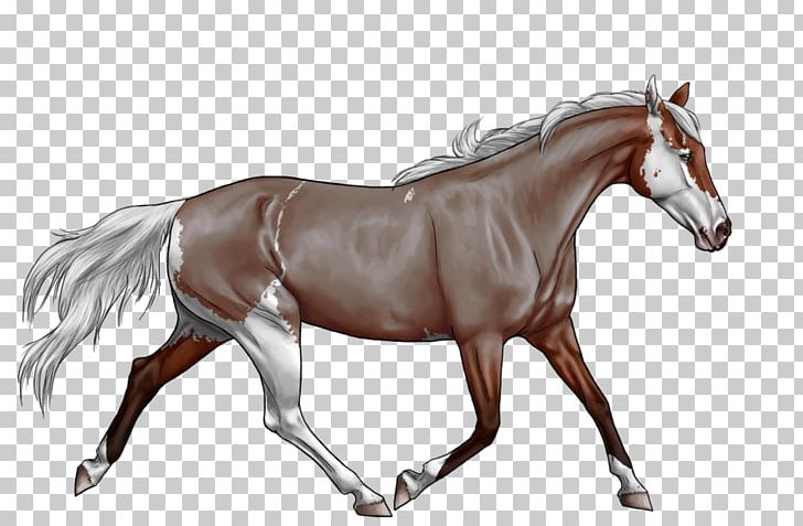 Mane Foal Horse Stallion Pony PNG, Clipart, Aji, Animals, Bit, Bridle, Bronze Sculpture Free PNG Download