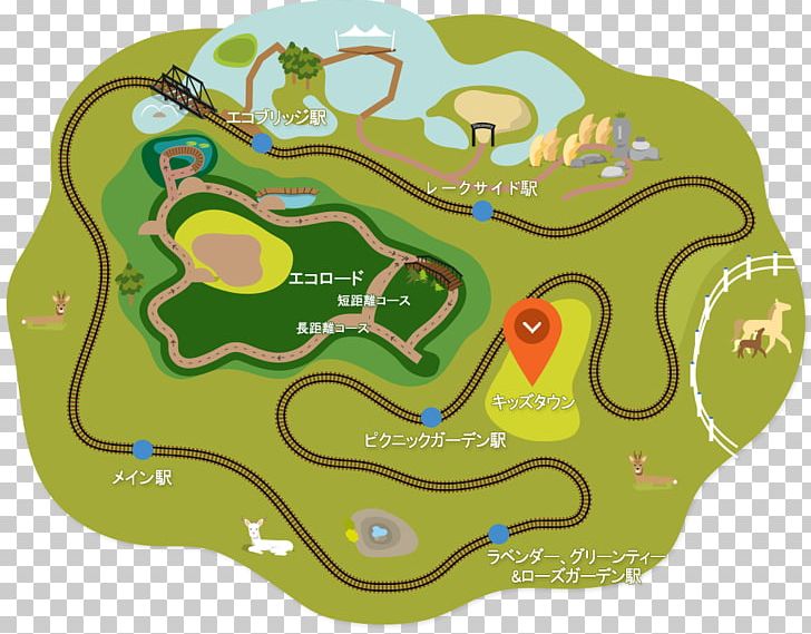 Ecoland Theme Park Osulloc Tea Museum Travel 오설록 PNG, Clipart, Amusement Park, Area, Children Amusement Park, Ecoland Theme Park, Grass Free PNG Download
