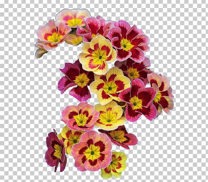 Flower Primrose Spring Wreath Garland PNG, Clipart, Annual Plant, Arumlily, Background, Bud, Color Free PNG Download