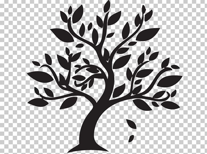 Jesus Or Yeshua? Exploring The Jewish Roots Of Christianity Bible The Gospel Judaism PNG, Clipart, Bible, Black And White, Branch, Child, Christianity Free PNG Download