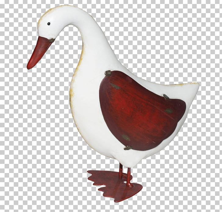 Duck Goose Beak Feather PNG, Clipart, Animals, Beak, Bird, Duck, Ducks Geese And Swans Free PNG Download