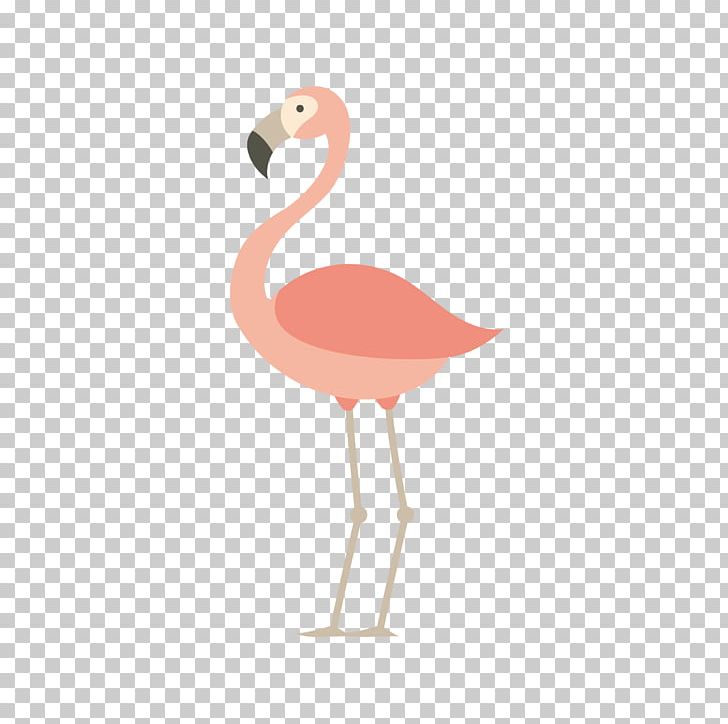 Flamingos Bird Parrot Euclidean PNG, Clipart, Adobe Illustrator, Beak, Bird, Birds, Crane Bird Free PNG Download