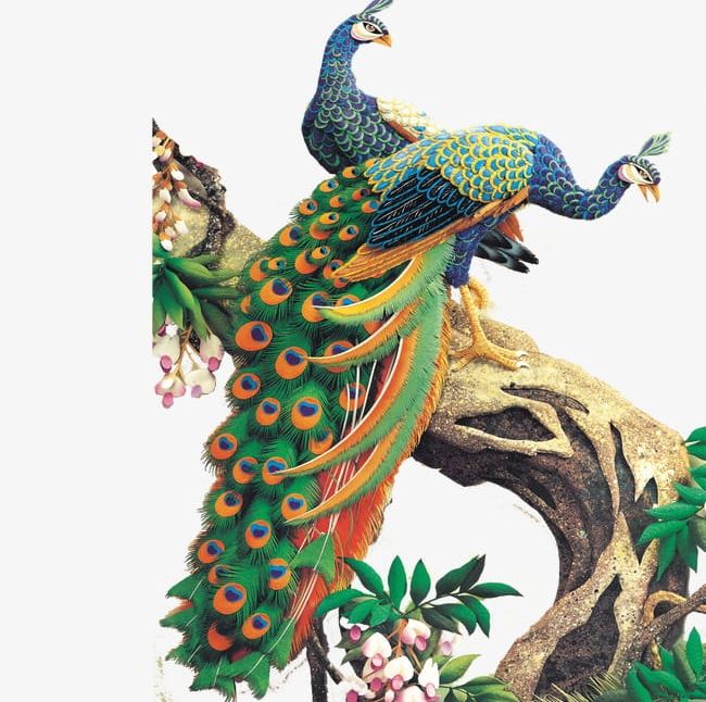 Peacock PNG, Clipart, Animal, Branches, Peacock, Peacock Clipart Free PNG Download