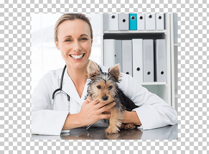 Dog Cat Veterinarian Veterinary Medicine Veterinary Nursing PNG, Clipart, Animal, Animals, Animal Training, Cat, Companion Dog Free PNG Download