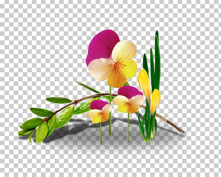 Flower Floral Design Desktop Blog PNG, Clipart, Blog, Branch, Computer, Computer Wallpaper, Cut Flowers Free PNG Download