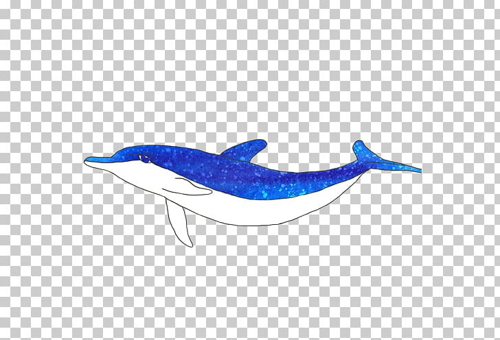 Baleen Whale Dolphin Seabed PNG, Clipart, Animals, Baleen, Blue, Blue Whale, Cartoon Whale Free PNG Download