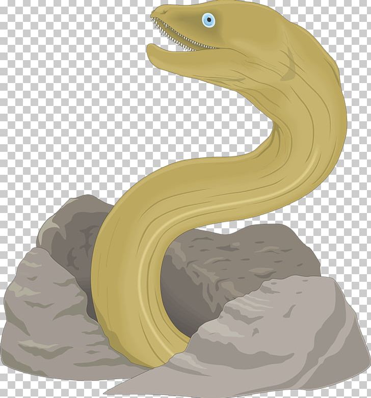 How To Draw A Realistic Eel