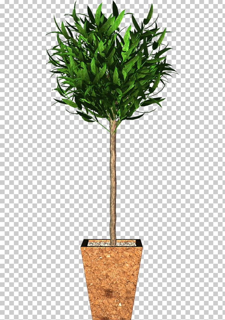 Flowerpot Houseplant Tree Branch Garden Roses PNG, Clipart, Arecaceae, Branch, Flowerpot, Garden, Garden Roses Free PNG Download