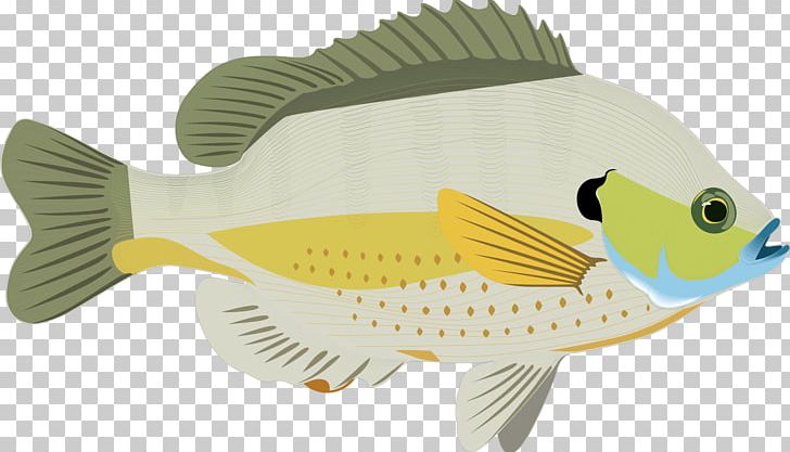 Prattville PNG, Clipart, Animal, Animals, Animation, Background Green, Bluegill Free PNG Download