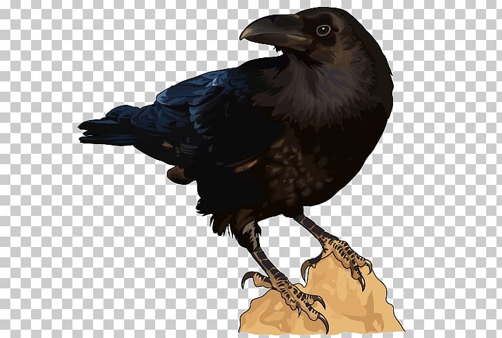 American Crow Rook Common Raven New Caledonian Crow Bird PNG, Clipart, American Crow, Anatomy, Animal, Animals, Atlantic Canary Free PNG Download
