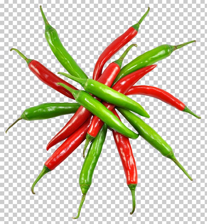 Chili Pepper Chili Con Carne Birds Eye Chili Cayenne Pepper Bell Pepper PNG, Clipart, Bhut Jolokia, Birds Eye Chili, Black Pepper, Capsicum, Capsicum Annuum Free PNG Download
