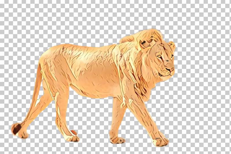 Lion Animal Figure Wildlife Masai Lion Roar PNG, Clipart, Animal Figure, Lion, Mane, Masai Lion, Roar Free PNG Download