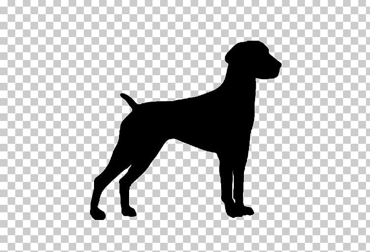German Shorthaired Pointer German Wirehaired Pointer Spinone Italiano Wirehaired Pointing Griffon PNG, Clipart, Bird Dog, Black, Black And White, Breed, Bumper Sticker Free PNG Download