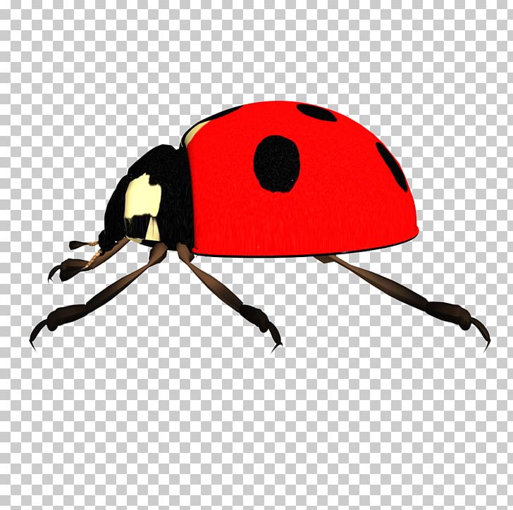 Ladybird PNG, Clipart, Animals, Beetle, Decoration, Diagram, Display Resolution Free PNG Download
