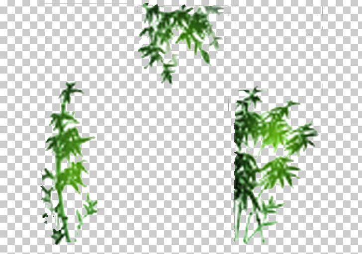 Photography Bamboo Drawing PNG, Clipart, Adobe Illustrator, Bamboo, Bamboo Leaves, Bamboo Tree, Branch Free PNG Download