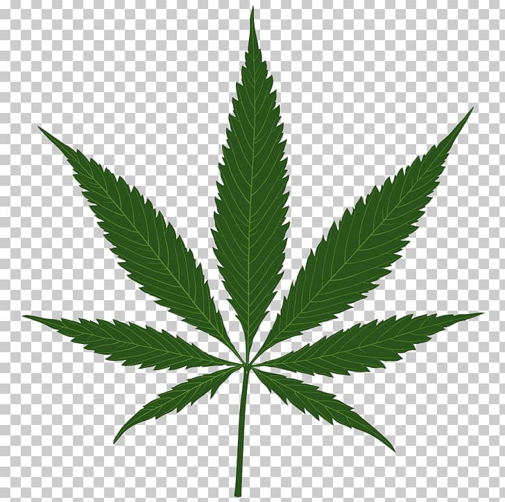 Cannabis Sativa Leaf PNG, Clipart, Care, Drug, Fall Leaves, Hemp, Hemp Family Free PNG Download