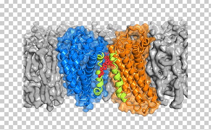 G Protein–coupled Receptor G Alpha Subunit PNG, Clipart, Biology, Cell, Cell Membrane, Cholesterol, Drug Free PNG Download