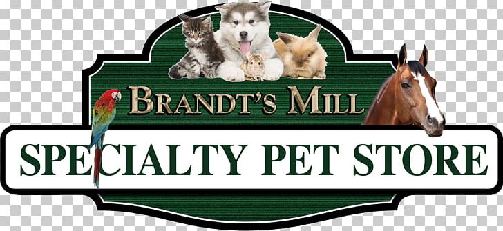 Horse Dog Brandt's Mill Pet Logo PNG, Clipart,  Free PNG Download