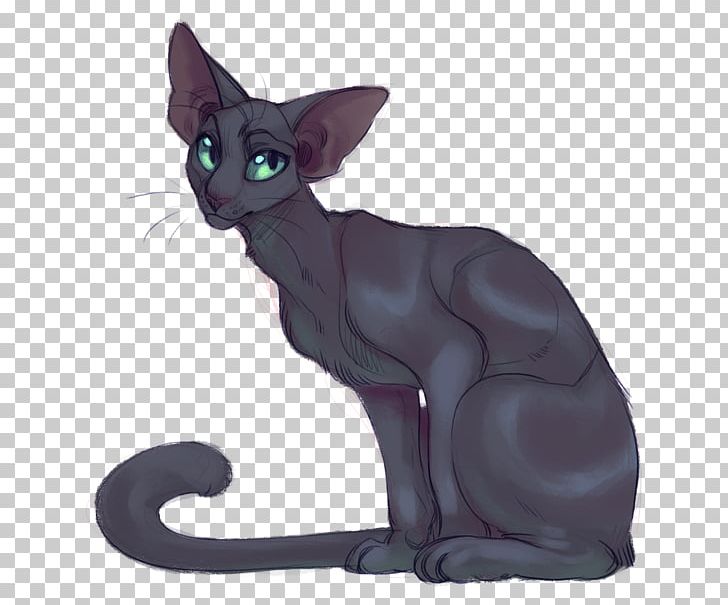 Korat Havana Brown Domestic Short-haired Cat Whiskers Devon Rex PNG, Clipart, Animal, Asian, Black Cat, Carnivoran, Cat Free PNG Download