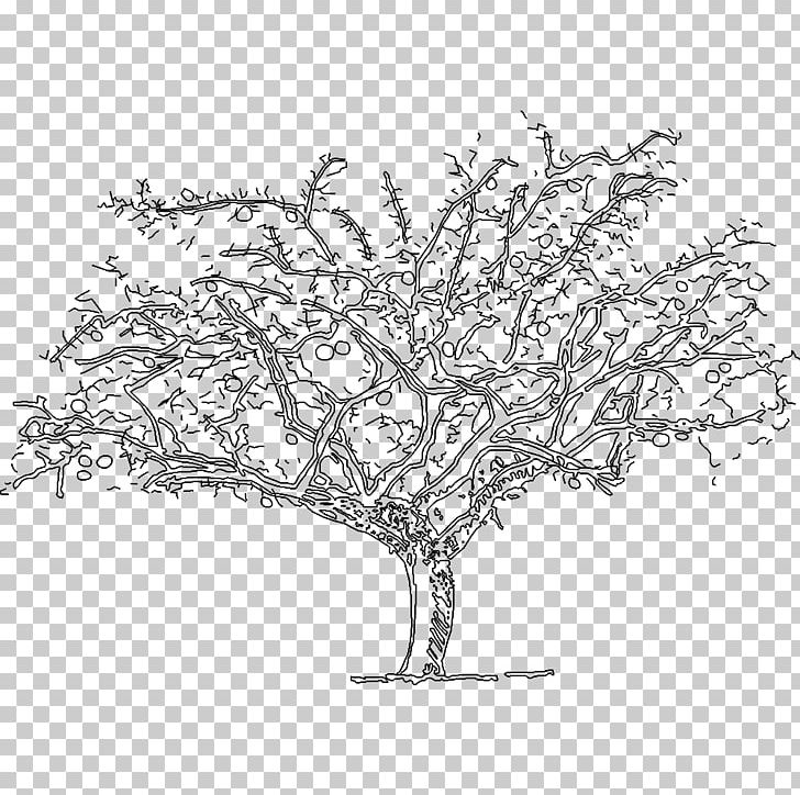 Naxos Delos Art Painter Painting PNG, Clipart, Area, Art, Black And White, Branch, Civilization Free PNG Download