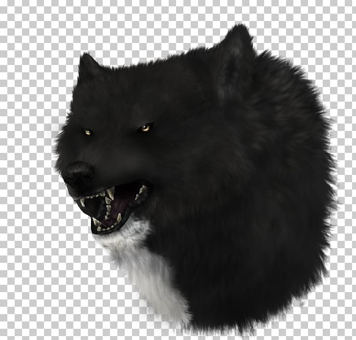 Schipperke German Spitz Mittel Dog Breed PNG, Clipart, Black, Breed, Breed Group Dog, Carnivoran, Dog Free PNG Download