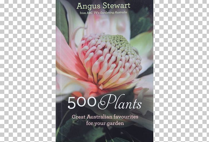 500 Plants The Australian Native Garden: A Practical Guide RHS Good Plant Guide Creating An Australian Garden PNG, Clipart,  Free PNG Download
