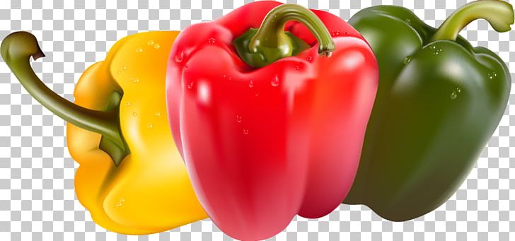 Bell Pepper Juice Vegetable Piquillo Pepper Chili Pepper PNG, Clipart, Bell Pepper, Bell Peppers And Chili Peppers, Cayenne Pepper, Chili Pepper, Food Free PNG Download