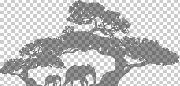 Bonsai Tree Drawing Light PNG, Clipart, Area, Black, Black And White, Bonsai, Cattle Like Mammal Free PNG Download