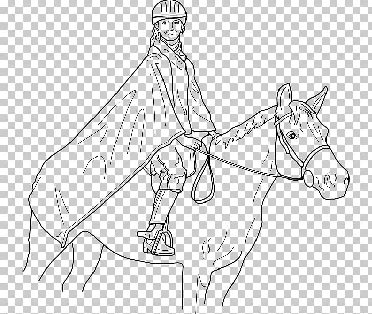 Equestrian Graphics Arabian Horse Drawing PNG, Clipart, Angle, Arabian Horse, Arm, Artwork, Black And White Free PNG Download