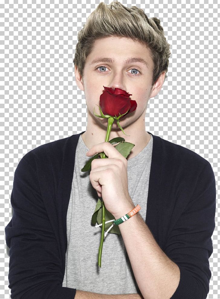 Niall Horan One Direction Photography PNG, Clipart, Capital, Direction, Facial Hair, Harry Styles, Liam Payne Free PNG Download