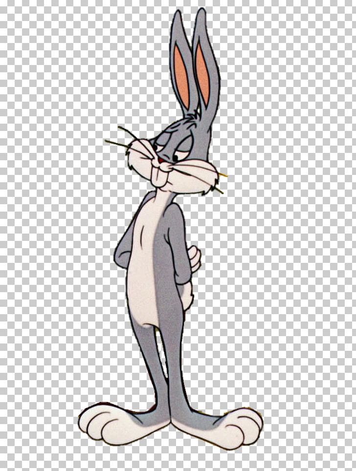 Bugs Bunny Lola Bunny Daffy Duck Cartoon Rabbit PNG, Clipart, Animals