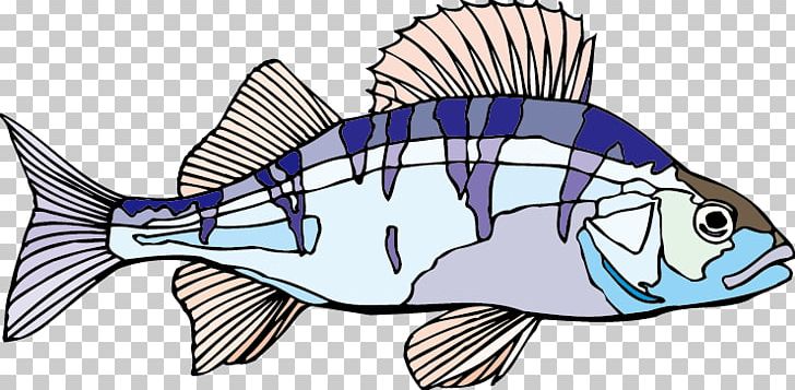 Cartoon PNG, Clipart, Animal, Animals, Cartoon, Cartoon Fish, Cartoon Fish Vector Material Free PNG Download