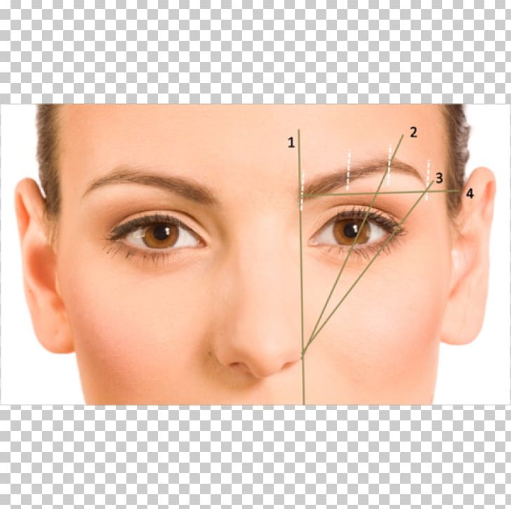 Eyebrow Shape Threading Face Plucking PNG, Clipart, Art, Cheek, Chin, Closeup, Ear Free PNG Download