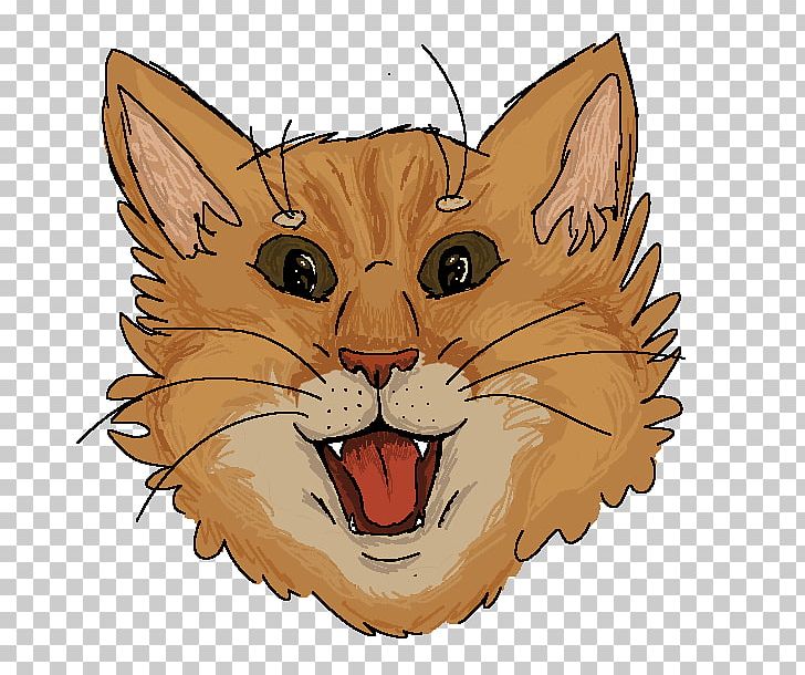 Whiskers Kitten Wildcat Tabby Cat PNG, Clipart, Animals, Art, Canidae, Carnivoran, Cartoon Free PNG Download