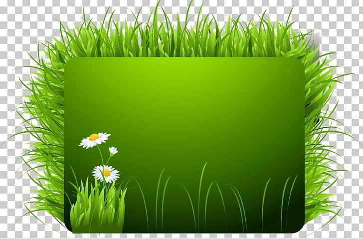 Euclidean GRASS GIS Illustration PNG, Clipart, Adobe Illustrator, Artificial Grass, Cartoon Grass, Commodity, Computer Wallpaper Free PNG Download