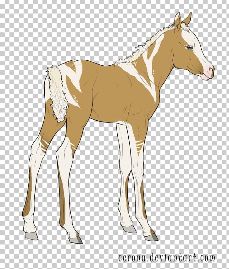 Mule Mustang Foal Stallion Halter PNG, Clipart,  Free PNG Download