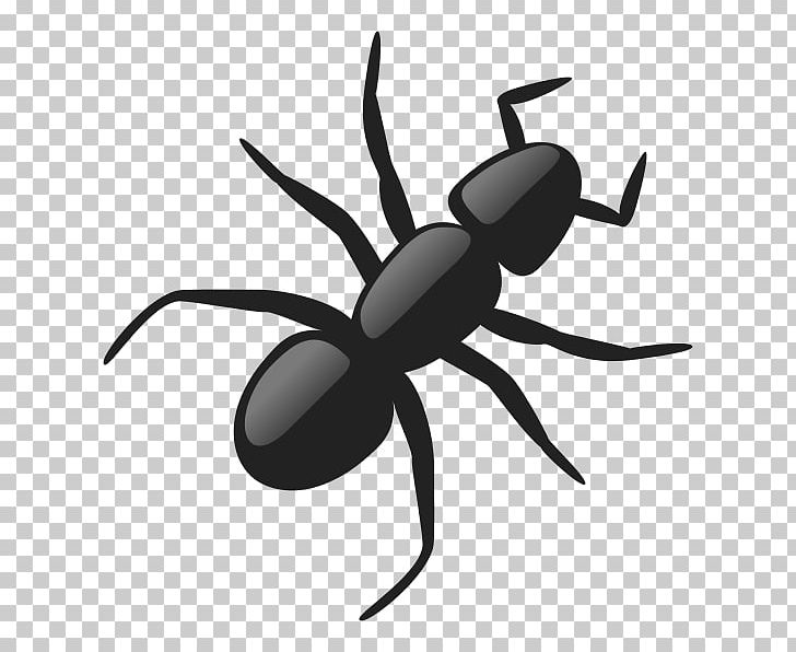 Ant Graphics Open PNG, Clipart, Ant, Arthropod, Black And White, Cartoon, Computer Icons Free PNG Download