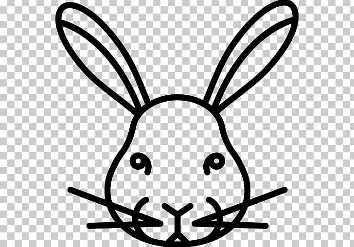 Cruelty-free Rabbit Computer Icons PNG, Clipart, Animal, Animals, Black, Black And White, Carnivoran Free PNG Download