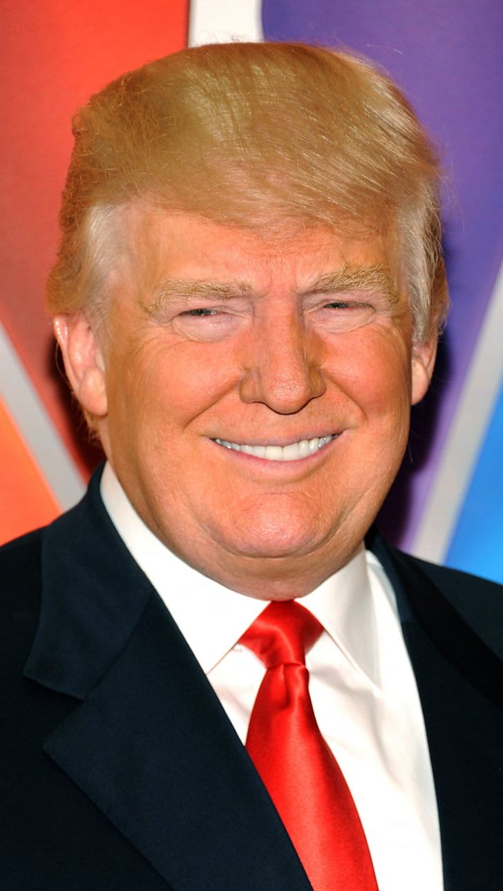 Donald Trump United States US Presidential Election 2016 Independent Politician TV Personality PNG, Clipart, Celebrities, Entrepreneur, News, Official, Person Free PNG Download