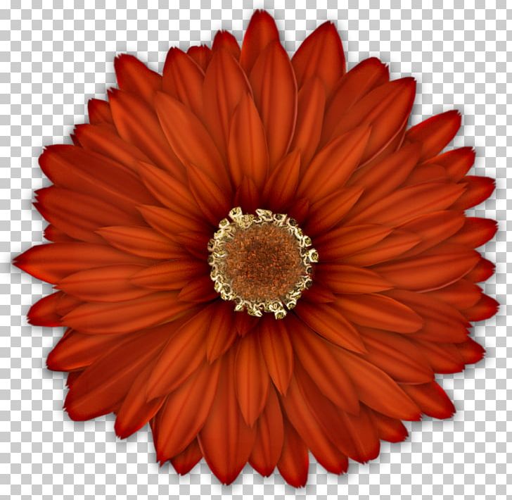 Flower Floral Design Common Daisy PNG, Clipart, Business, Chrysanths, Common Daisy, Cut Flowers, Daisy Free PNG Download