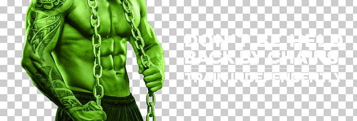 Kettlebell Fitness Centre Koru Gyms Ltd Training Personal Trainer PNG, Clipart,  Free PNG Download