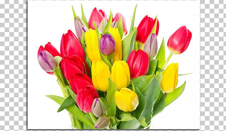 Tulip Lossless Compression Flower PNG, Clipart, Archive File, Bud, Cut Flowers, Data, Data Compression Free PNG Download