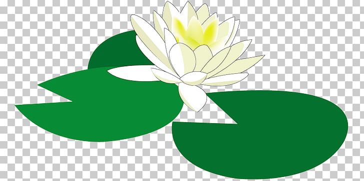 Water Lily Flower Floral Design PNG, Clipart, Artwork, Cut Flowers, Flora, Floral Design, Flower Free PNG Download