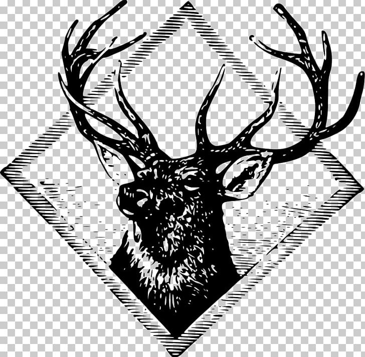 Art Deer PNG, Clipart, Animals, Antler, Art, Artist, Black And White Free PNG Download