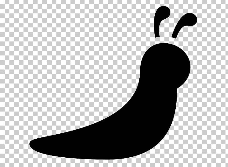 Computer Icons Slug Snail PNG, Clipart, Animal, Animals, Artwork, Black, Black And White Free PNG Download