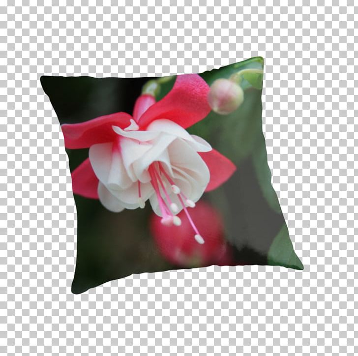Cushion Pillow Flowering Plant PNG, Clipart, Cushion, Flower, Flowering Plant, Furniture, Petal Free PNG Download
